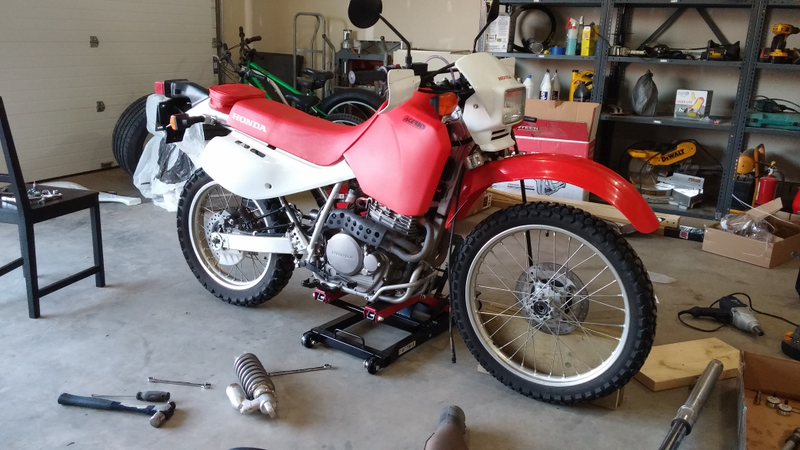Illustration for article titled Flat Track XR650L: Put stock tank back on.